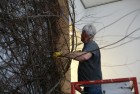 Patrick Dougherty Working Patrick Dougherty Working